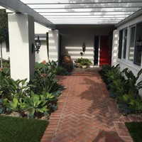 image services